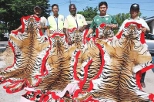 Kedah Anti-Smuggling